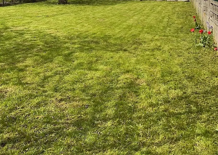 Jolie Maison Proche Centre Avec Jardin Neuville-Saint-Remy